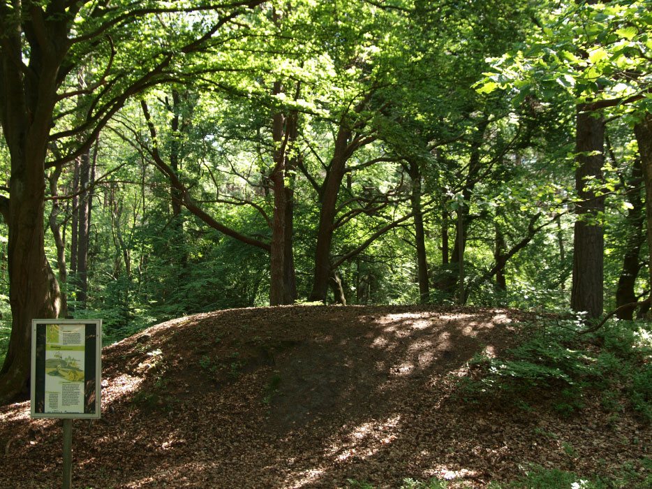 Click for the gallery page to add comments and vote (PID:131264) Fischbeker Heide Archäologischer Wanderpfad