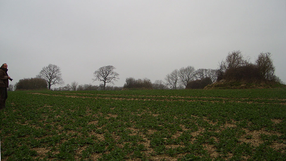 Click for full size image of Birkenmoor Steingrab (4) (PID:46044) Birkenmoor Steingrab (4)