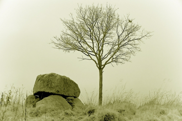 Click for the gallery page to add comments and vote (PID:44743) Goosefeld Steingrab 2