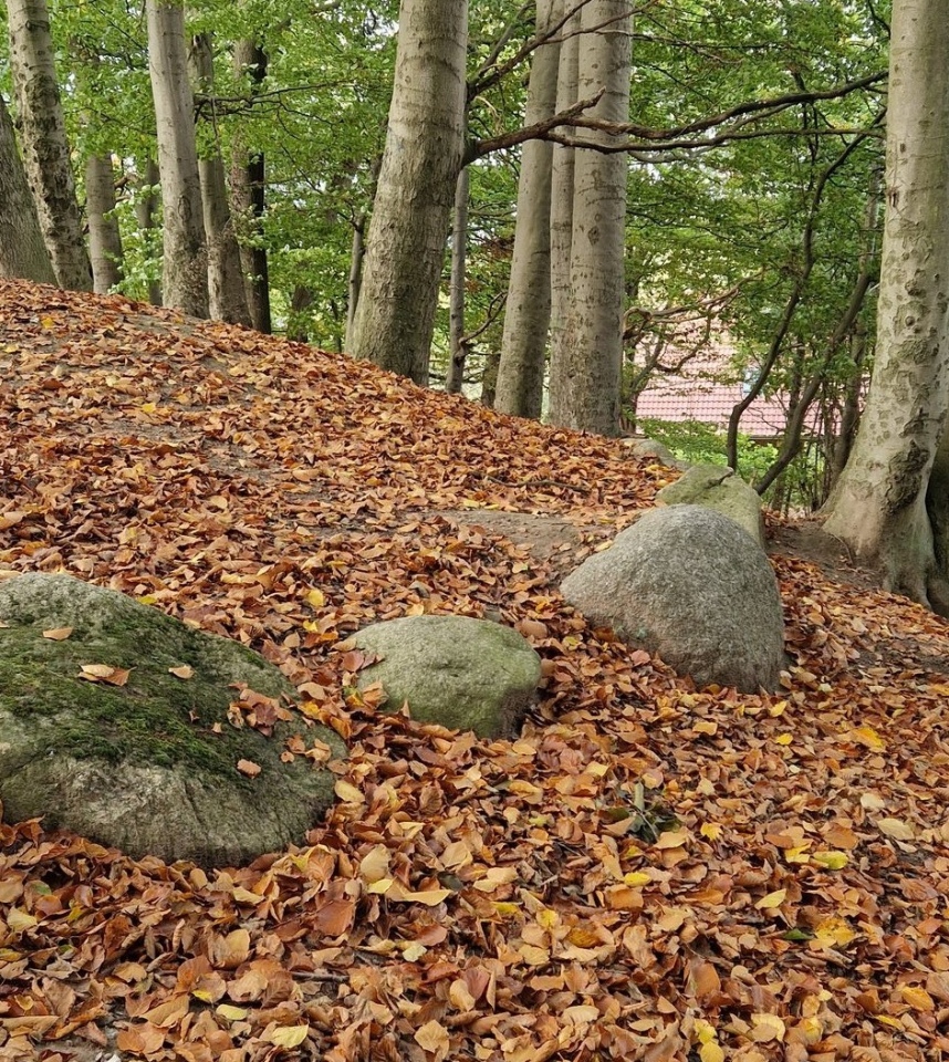 Langenbek Grabhuegel mit Steinkreis