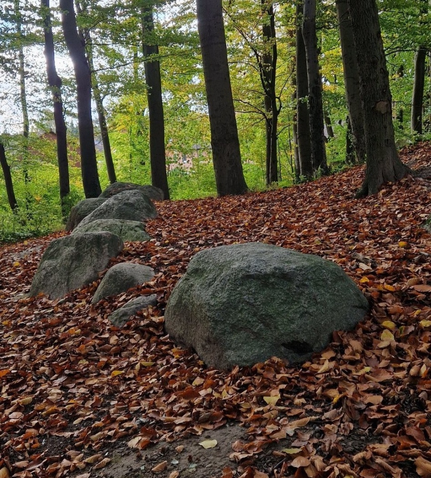 Langenbek Grabhuegel mit Steinkreis