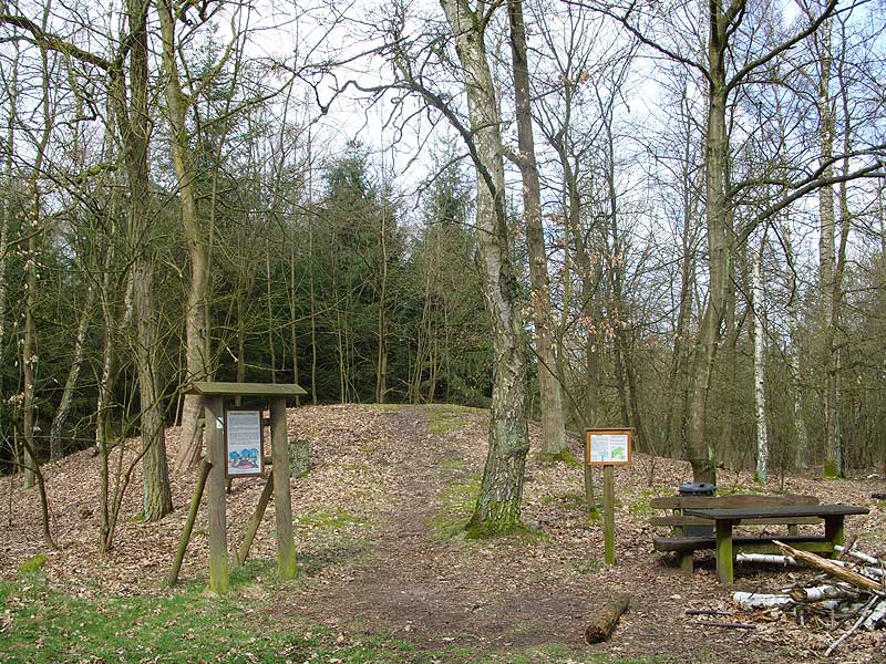 Glinde (Hamburg) Huegelgrab (PID:38107) Glinde (Hamburg) Huegelgrab