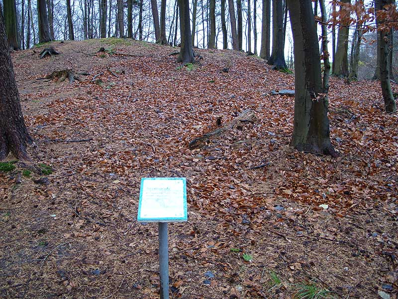 Round Barrow in a forest near Gluecksburg.

Part of the 'Dolmenpfad'.