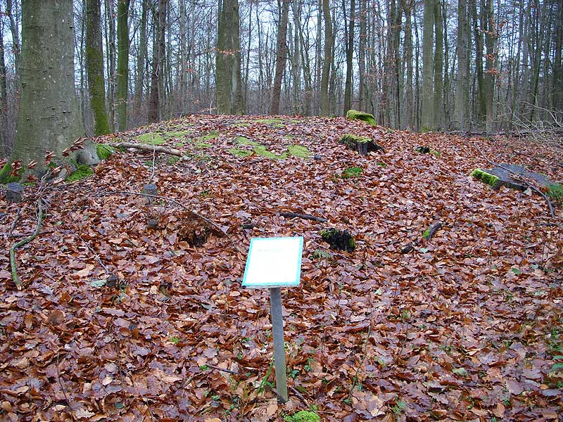 Gluecksburg Huegelgrab 1