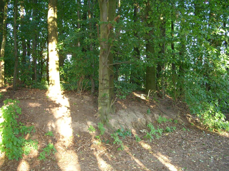 Hamburg Huegelgrab (PID:32209) Hamburg Huegelgrab