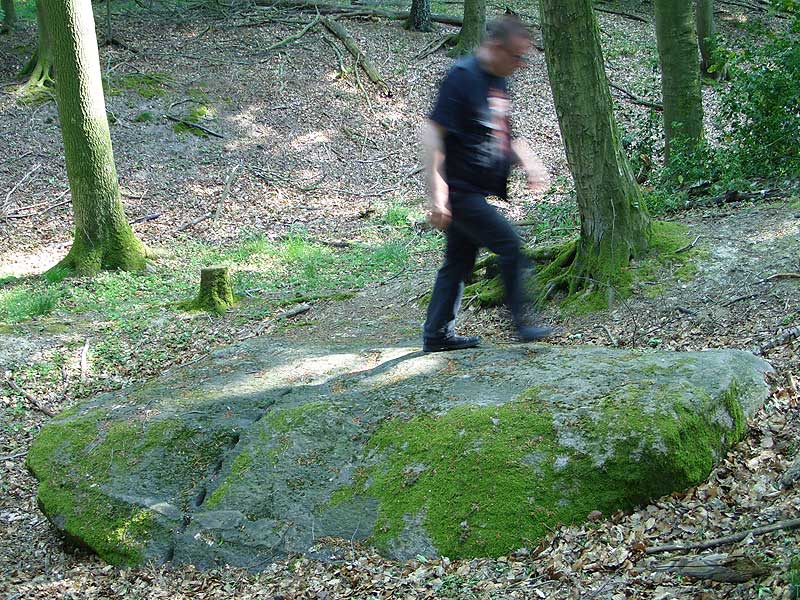 Harkestein