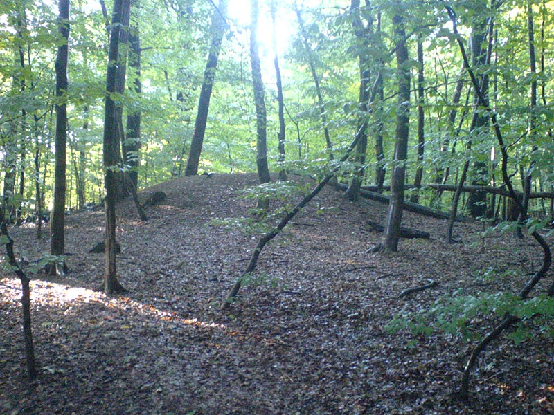 Wellingsbuettel Huegelgrab (PID:31700) Wellingsbuettel Huegelgrab