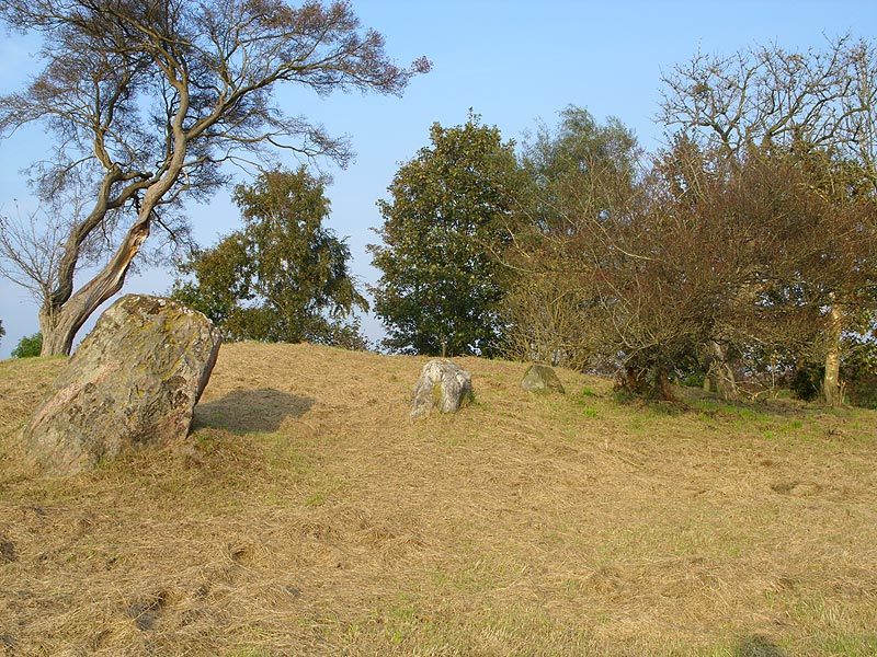 Click for the gallery page to add comments and vote (PID:33444) Munkwolstrup Arnkiel Park