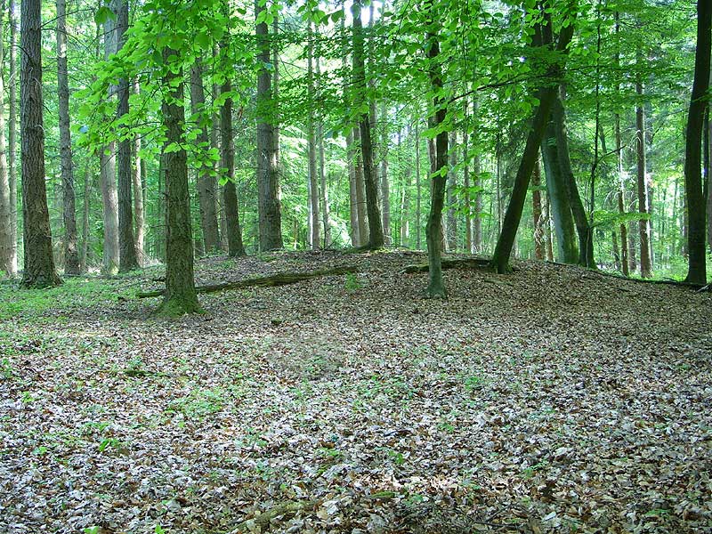 Oedendorf Huegelgrab 3 (PID:39104) Oedendorf Huegelgrab 3