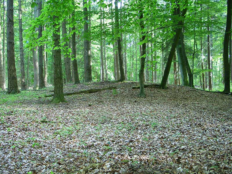 Round Barrow near Oedendorf. I was on another search for those 'Schalensteine'.