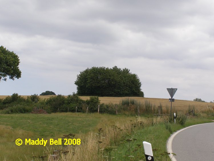 Click for the gallery page to add comments and vote (PID:42173) Birkenmoor Langbett (13)