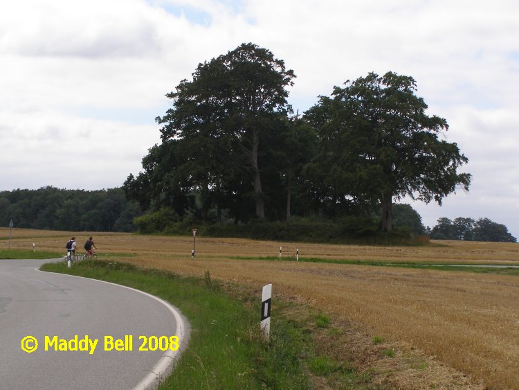 Click for the gallery page to add comments and vote (PID:42175) Birkenmoor Langbett (9)