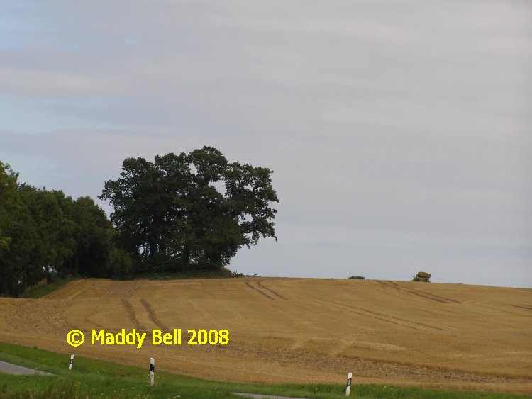 Click for the gallery page to add comments and vote (PID:42174) Birkenmoor Huegelgrab (17)