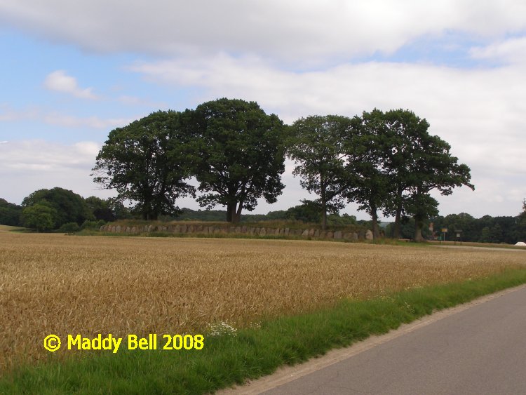 Click for the gallery page to add comments and vote (PID:42123) Karlsminde Langbett