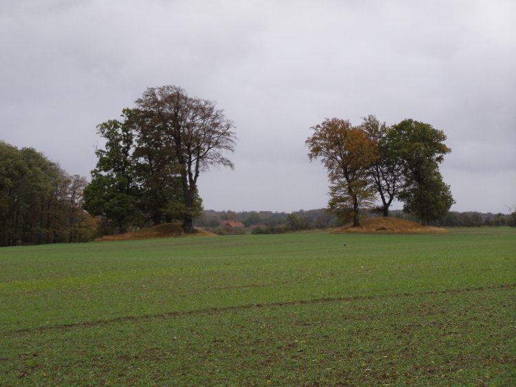 Click for the gallery page to add comments and vote (PID:51467) Birkenmoor Huegelgrab (22)