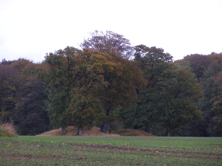Click for the gallery page to add comments and vote (PID:51469) Birkenmoor Huegelgrab (21)