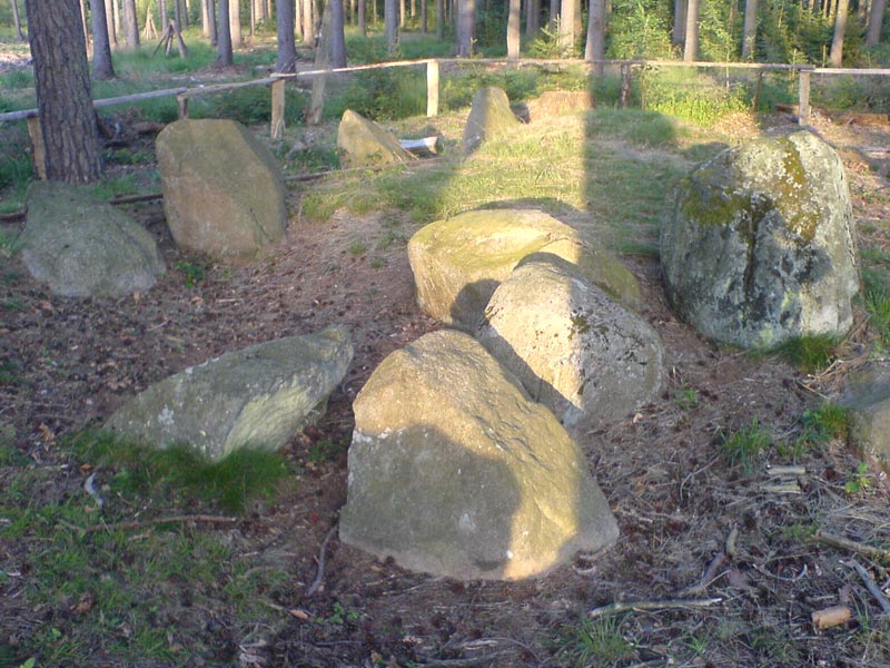 Click for the gallery page to add comments and vote (PID:31627) Sachsenwald Saupark 1