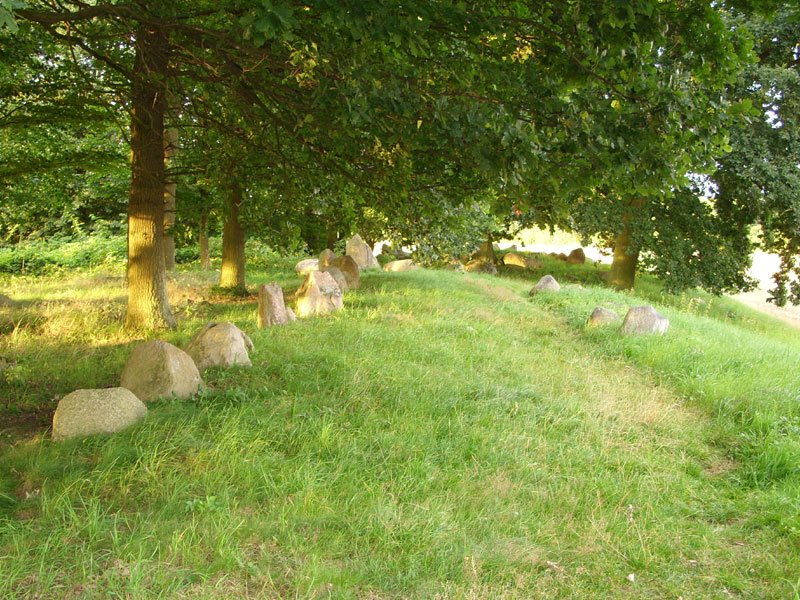 Futterkamp Langbett 2