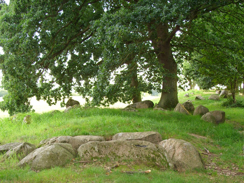 Futterkamp Langbett 1