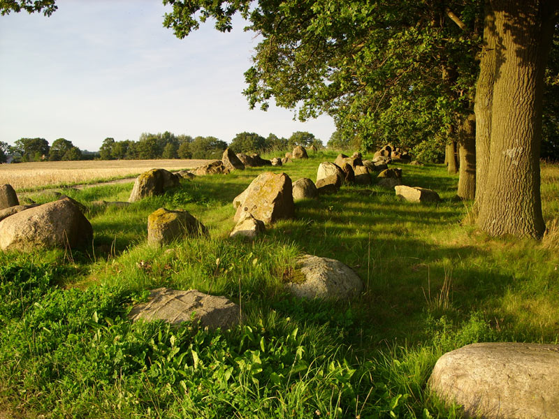 Futterkamp Langbett 3