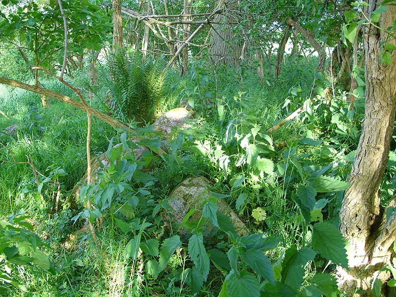 Sierhagen Steingrab 2 (PID:39480) Sierhagen Steingrab 2