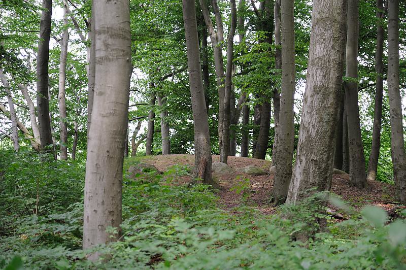 Langenbek Grabhuegel mit Steinkreis