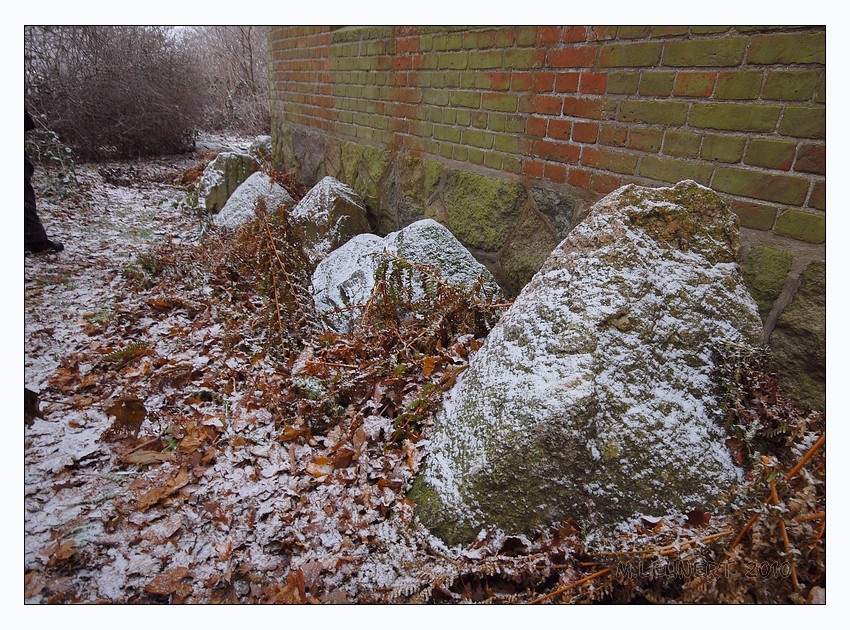Hemmelmark II (Sprockhoff 81): View along a short part of the southern long-side showing the tops of some largely buried kerb-stones beside the modern mausoleums wall. 
Regarding the megaliths Hemmelmark II is a nearly complete, but partly extremely overgrown chambered-longbarrow measuring 44m by 7m. At least 66 (possibly all) enclosure stones were preserved when Sprockhoff and Schwieger examined