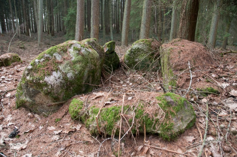 Click for the gallery page to add comments and vote (PID:75496) Holzdorf Dolmen