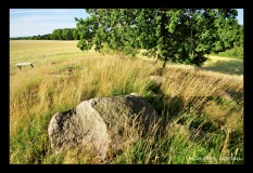 Neutestorf Langbett 1