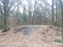 Fischbeker Heide Archäologischer Wanderpfad