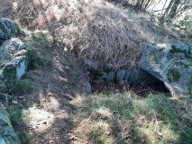 Tarbek Langbett 1