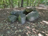 Click for full size image of Buedelsdorf Dolmen (1) (PID:251660) Buedelsdorf Dolmen (1)