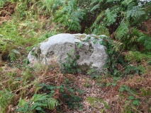 Behrensbrook Langbett 1