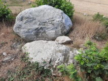 Birkenmoor Steingrab (7)