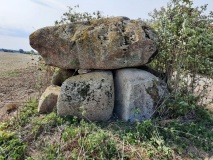 Birkenmoor Dolmen (14)