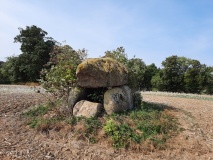 Birkenmoor Dolmen (14)