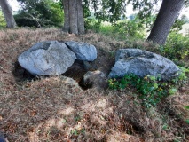 Birkenmoor Langbett (8)