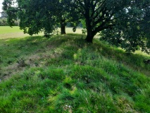 Munkwolstrup Langbett 6