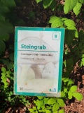 Gluecksburg Huegelgrab 2