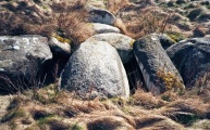 Archsum Merelmerskhoog - PID:46139
