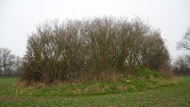 Click for full size image of Birkenmoor Steingrab (4) (PID:46046) Birkenmoor Steingrab (4)
