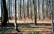 Blekendorf Steingrab - PID:38603