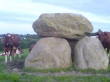Goosefeld Dolmen - PID:31601 Goosefeld Dolmen - PID:31601