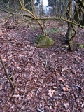 Eisendorf Grabhuegel 2