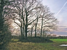 Gross Vollstedt Huegelgrab 2