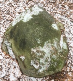 Schalenstein Schnellmarker Holz - PID:189661