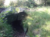 Tarbek Langbett 1 - PID:31275 Tarbek Langbett 1 - PID:31275