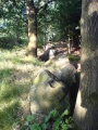 Tarbek Langbett 1 - PID:31273 Tarbek Langbett 1 - PID:31273