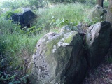 Tarbek Langbett 1 - PID:31272 Tarbek Langbett 1 - PID:31272