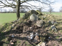 Nehmten Grabhügelgruppe